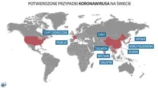 Potwierdzone przypadki koronawirusa na świecie (tvnmeteo.pl za China’s National Health Commision)