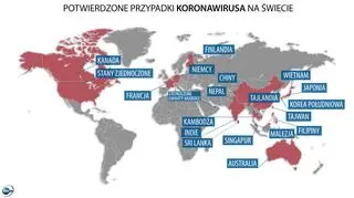 Potwierdzone przypadki nowego koronawirusa na świecie