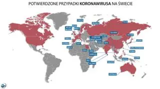 Potwierdzone przypadki zakażenia koronawirusem 