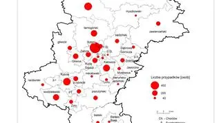 Potwierdzone przypadki zakażenia koronawirusem w powiatach województwa śląskiego (prof. Sławomir Sitek, prof. Sławomir Pytel, prof. Elżbieta Zuzańska-Żyśko)
