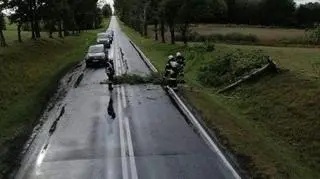 Powalone drzewo na krajowej "20" (OSP BIAŁY BÓR)