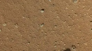 Powierzchnia Marsa sfotografowana bez osłony przeciwpyłowej (NASA/JPL-Caltech/Malin Space Science Systems)