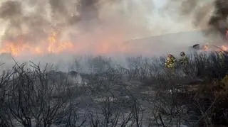 Pożar w Hiszpanii (PAP/EPA)