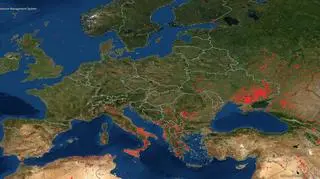 Pożary aktywne w ostatnich dwóch dniach (firms.modaps.eosdis.nasa.gov)