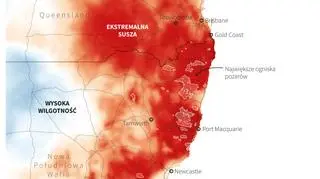 Pożary i susza w Australii (PAP/Adam Ziemienowicz)