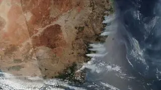 Pożary na wschodzie Australii widziane z kosmosu 5 grudnia (NASA Worldview)