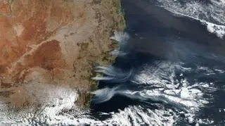 Pożary na wschodzie Australii widziane z kosmosu (NASA Worldview)