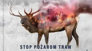 Pożary traw są ogromnym zagrożeniem dla zwierząt