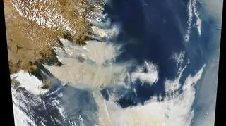 Pożary w Australii (earthobservatory.nasa.gov)