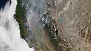 Pożary w Kalifornii na zdjęciu satelitarnym z 26 sierpnia (NASA Earth Observatory)