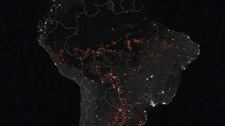 Pożary w Puszczy Amazońskiej między 15 a 22 sierpnia 2019 roku (NASA EOSDIS/LANCE and GIBS/Worldview/Joshua Stevens)