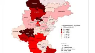 Poziom zakażeń koronawirusem w powiatach województwa śląskiego (prof. Sławomir Sitek, prof. Sławomir Pytel, prof. Elżbieta Zuzańska-Żyśko)