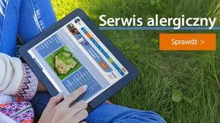 Poznaj nasz serwis alergiczny