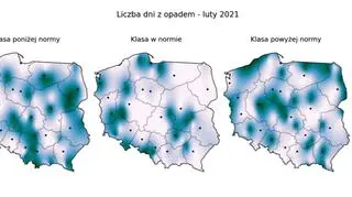 Prawdopodobieństwo wystąpienia klas "poniżej normy", "w normie" i "powyżej normy" dla liczby dni z opadem w lutym 2021 r