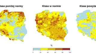 Prawdopodobieństwo wystąpienia klas "poniżej normy", "w normie" i "powyżej normy" dla liczby dni z opadem w sierpniu 2020 r. według modelu IMGW-PIB (IMGW)