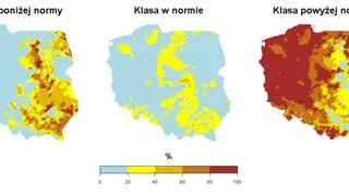 Prawdopodobieństwo wystąpienia klas "poniżej normy", "w normie" i "powyżej normy" dla liczby dni z opadem we wrześniu 2020 roku według modelu IMGW-Bayes (IMGW-PIB)