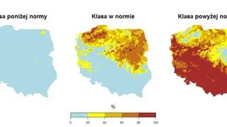 Prawdopodobieństwo wystąpienia klas "poniżej normy", "w normie" i "powyżej normy" dla średniej temperatury powietrza w sierpniu 2020 roku (IMGW)   