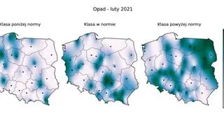 Prawdopodobieństwo wystąpienia klas "poniżej normy", "w normie" i "powyżej normy" dla sumy opadów w lutym 2021 r. według modelu IMGW-Bayes