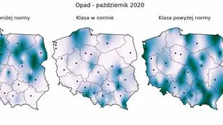 Prawdopodobieństwo wystąpienia klas "poniżej normy", "w normie" i "powyżej normy" dla sumy opadów w październiku 2020 r