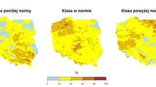 Prawdopodobieństwo wystąpienia klas "poniżej normy", "w normie" i "powyżej normy" dla sumy opadów w sierpniu 2020 r