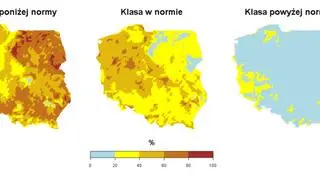 Prawdopodobieństwo wystąpienia klas "poniżej normy", "w normie" i "powyżej normy" dla sumy opadów we wrześniu 2020 roku według modelu IMGW-Bayes (IMGW-PIB)