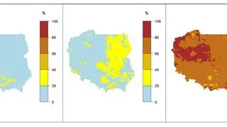 Prawdopodobieństwo wystąpienia kolejno klas "poniżej normy", "w normie" i "powyżej normy" dla średniej temperatury powietrza w czerwcu 2020 r