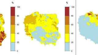 Prawdopodobieństwo wystąpienia kolejno klas "poniżej normy", "w normie" i "powyżej normy" dla średniej temperatury powietrza w lutym 2020 r
