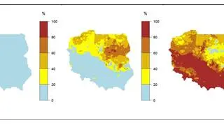 Prawdopodobieństwo wystąpienia kolejno klas "poniżej normy", "w normie" i "powyżej normy" dla średniej temperatury powietrza w sierpniu 2020 r. (IMGW-PiB)