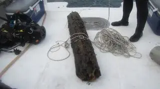 Prehistoryczne drzewo wyciągnięte na statek badawczy (Brian Helmuth/NOAA)