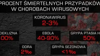 Procent śmiertelnych przypadków w chorobach wirusowych (TVN24)