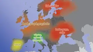Prognoza dla Europy na wakacje nie jest optymistyczna. Grożą nam susze i fale upałów