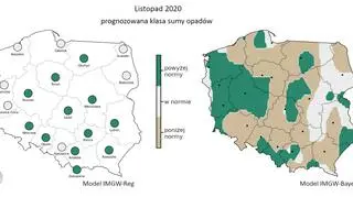 Prognoza długoterminowa temperatury i opadu na listopad 2020 r