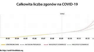 Prognoza dotycząca całkowitej liczby zgonów na COVID-19 (https://covid19.healthdata.org/)