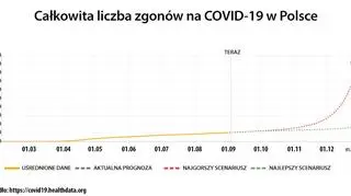 Prognoza dotycząca całkowitej liczby zgonów na COVID-19 w Polsce (https://covid19.healthdata.org/)