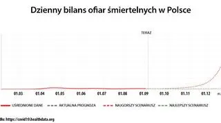 Prognoza dotycząca dziennego bilansu ofiar śmiertelnych COVID-19 w Polsce (https://covid19.healthdata.org/)