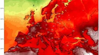 Prognoza maksymalnej temperatury wg. modelu GFS na trzy dni (ClimateReanalyzer.org)