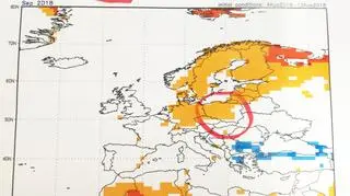 Prognoza odchyleń temperatury od średniej wieloletniej na wrzesień 2018 (NOAA)