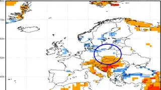 Prognoza odchylenia od średniej temperatury w sierpniu (NOAA)