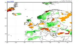 Prognoza odchylenia opadów od średniej w sierpniu 2020 (NOAA)