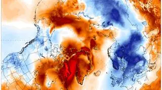 Prognoza odchylenia temperatury od średniej na najbliższe 5 dni (GFS/University of Maine)