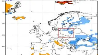 Prognoza odchylenia temperatury w sierpniu (NOAA)