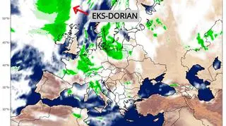 Prognoza opadów na 10 września wg modelu GFS (climatereanalyzer.org)