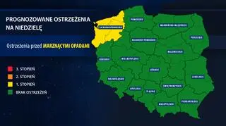 Prognoza ostrzeżeń (IMGW)