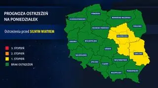 Prognoza ostrzeżeń (IMGW)