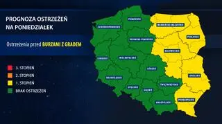 Prognoza ostrzeżeń IMGW na poniedziałek
