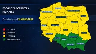 Prognoza ostrzeżeń na piątek
