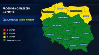Prognoza ostrzeżeń na piątek