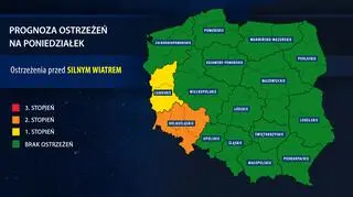 Prognoza ostrzeżeń na poniedziałek (IMGW)