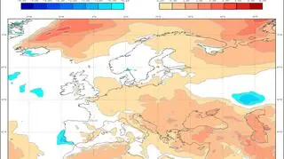 Prognoza średniej miesięcznej temperatury dla marca według modelu ECMWF