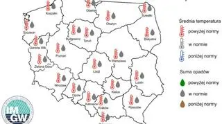 Prognoza średniej miesięcznej temperatury powietrza i miesięcznej sumy opadów atmosferycznych na lipiec 2021 r. dla wybranych miast w Polsce (IMGW-PIB)